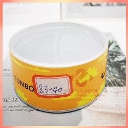 Transparent plastic lid paper canister